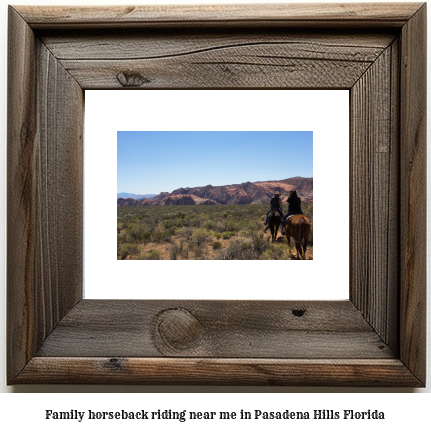 family horseback riding near me in Pasadena Hills, Florida